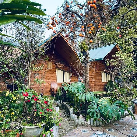 Nobita Homestay bắc hà Ngoại thất bức ảnh
